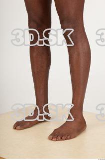 Leg texture of Virgil 0005